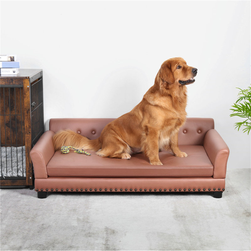 BingoPaw Dog Sofa Reviews Wayfair